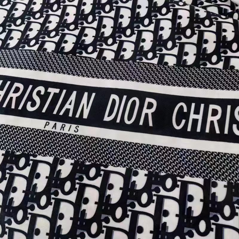 Christian Dior Blanket